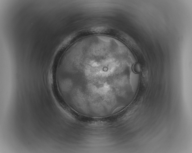 X0000111030734200907021538