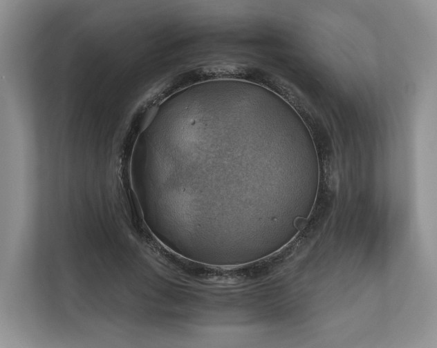 X0000111030735200907021538