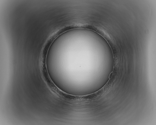 X0000111030736200907021538