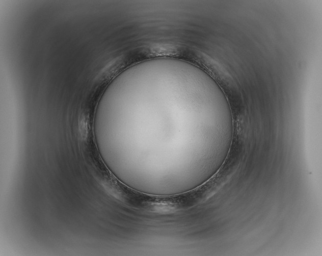 X0000111030741200907021538