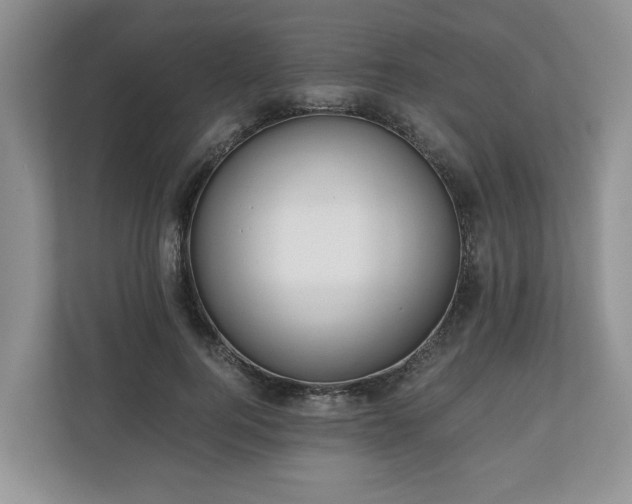X0000111030744200907021538