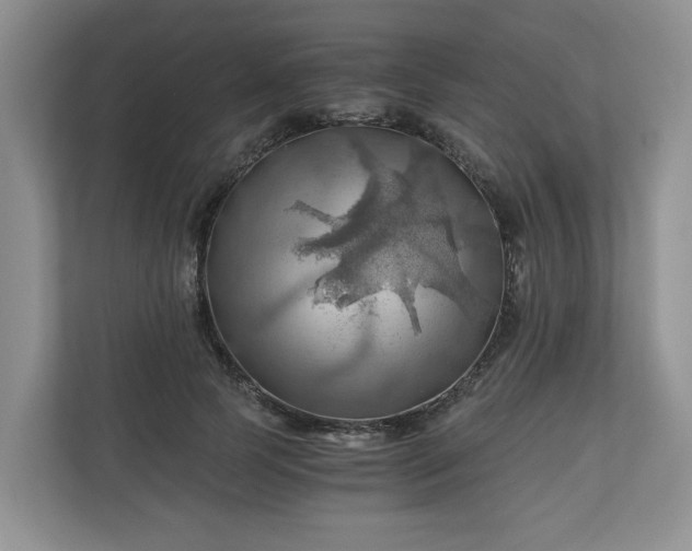 X0000111030745200907021538