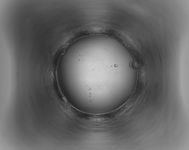 X0000111030746200907021538