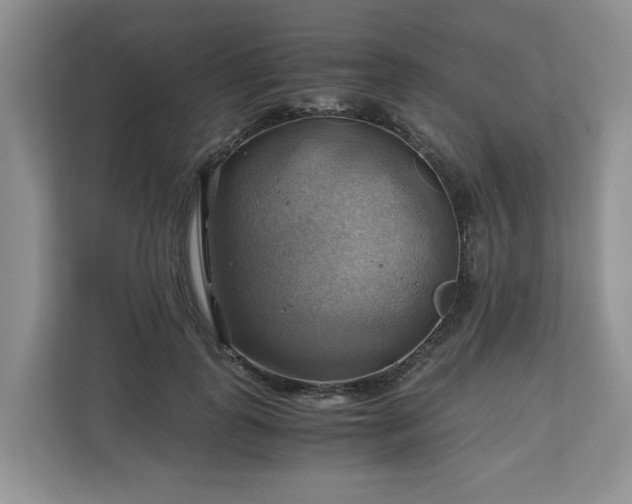 X0000111030747200907021538