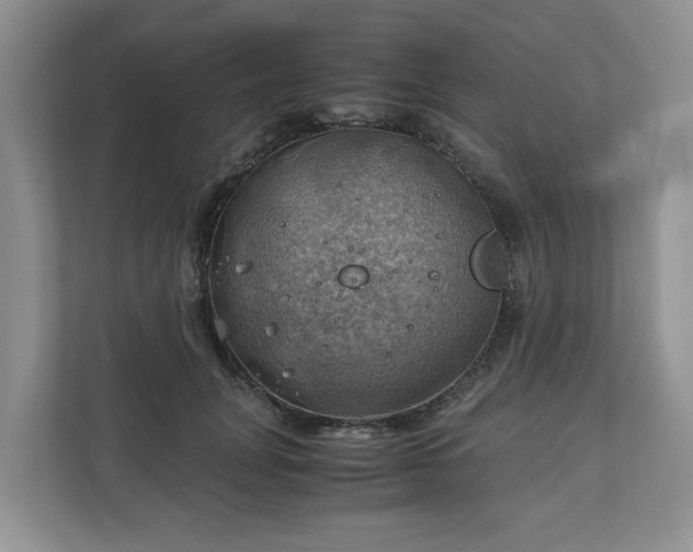 X0000111030751200907021538
