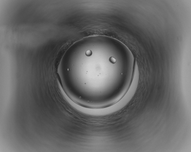 X0000111030752200907021538
