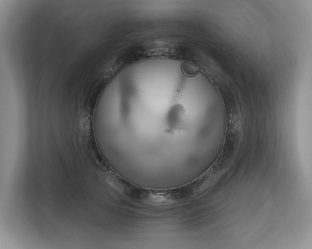 X0000111030753200907021538