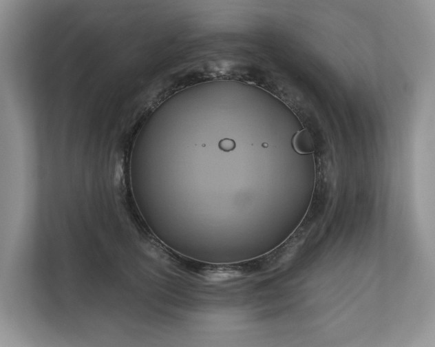 X0000111030754200907021538