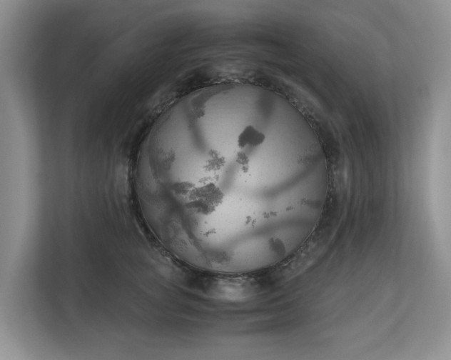 X0000111030757200907021538