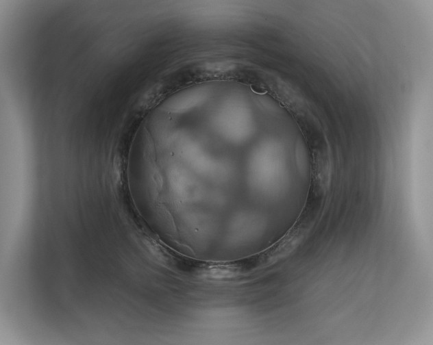 X0000111030758200907021538
