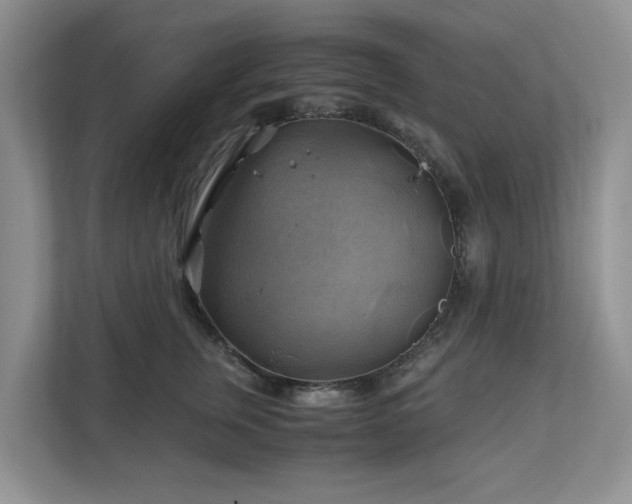 X0000111030759200907021538