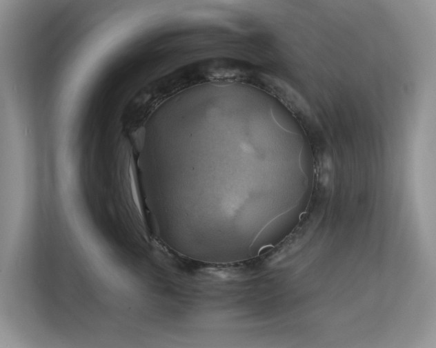 X0000111030763200907021538
