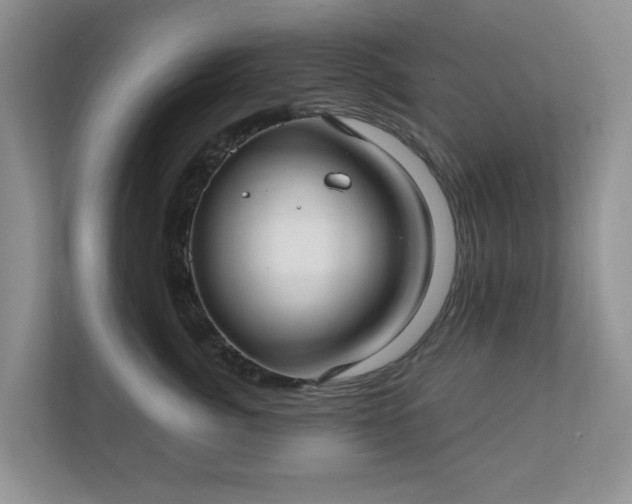 X0000111030764200907021538