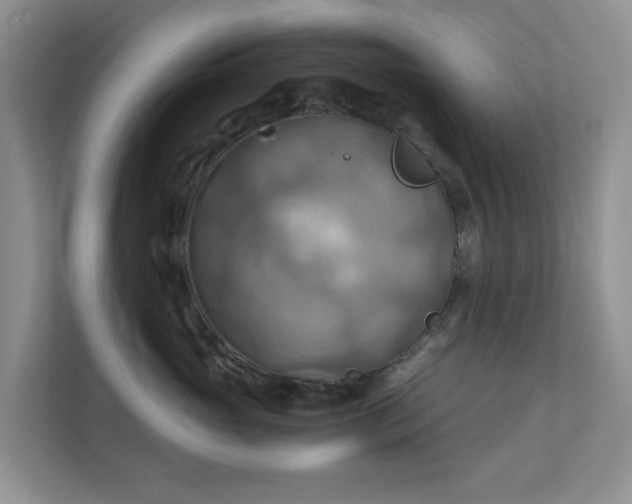 X0000111030765200907021538