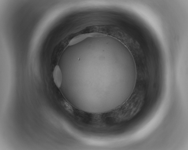 X0000111030766200907021538
