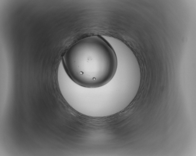 X0000111030768200907021538