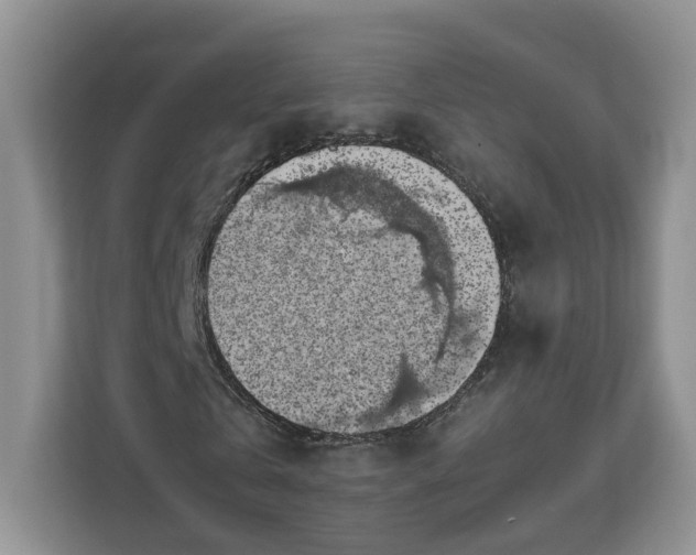 X0000111030769200907021537