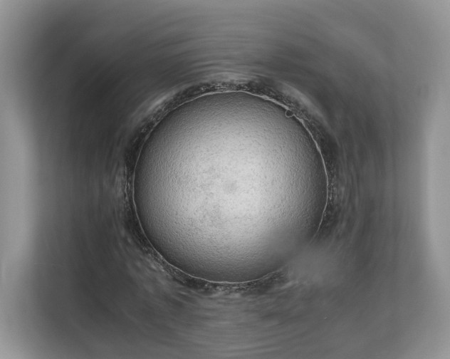 X0000111030773200907021537