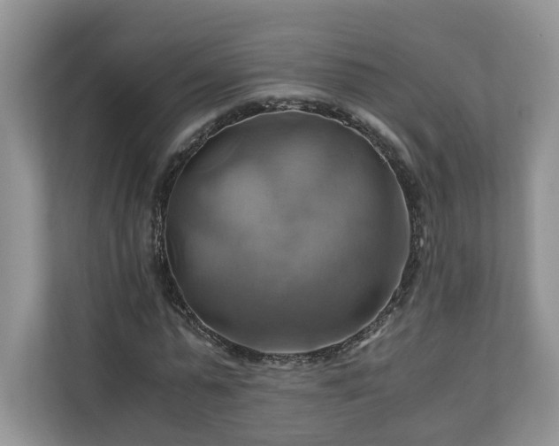 X0000111030775200907021537