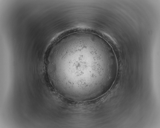 X0000111030776200907021537