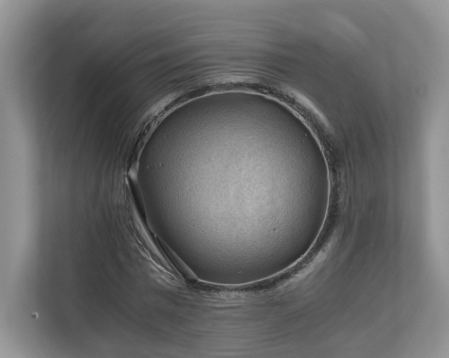 X0000111030777200907021537
