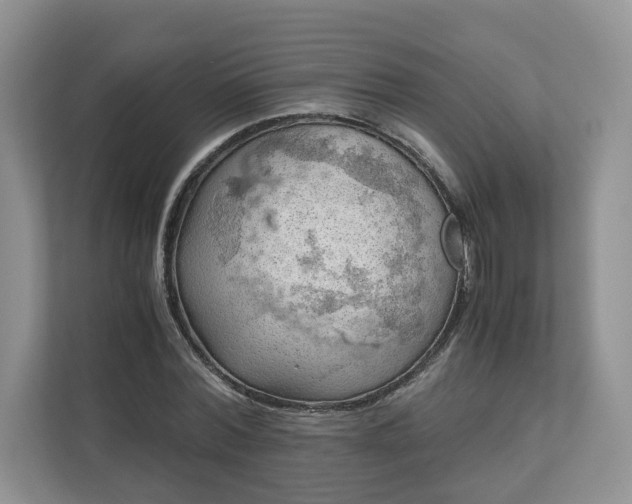 X0000111030780200907021537
