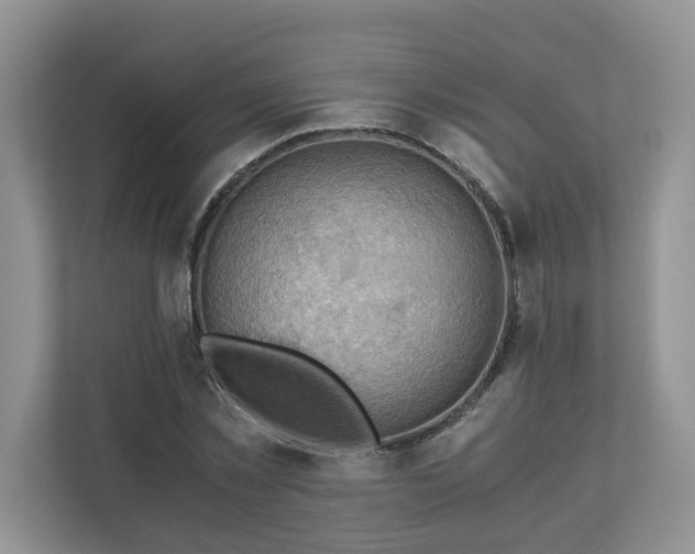 X0000111030781200907021537