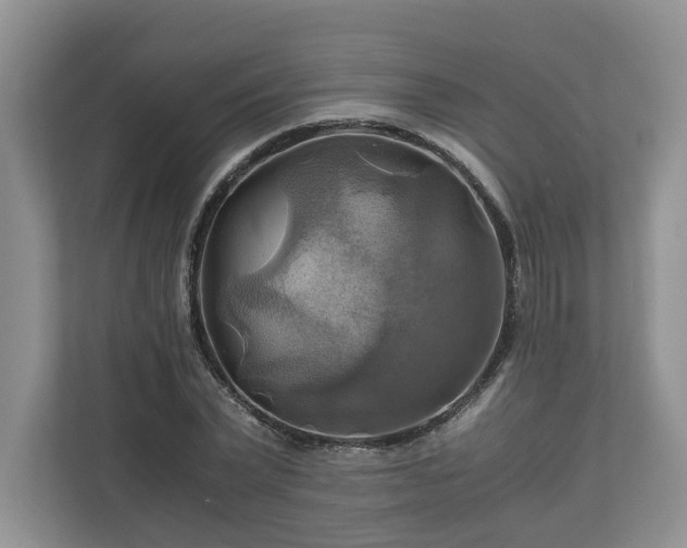 X0000111030783200907021537