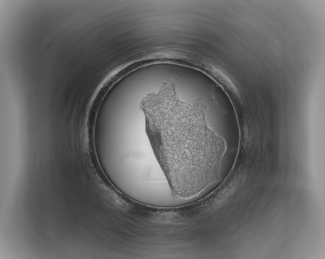 X0000111030784200907021537