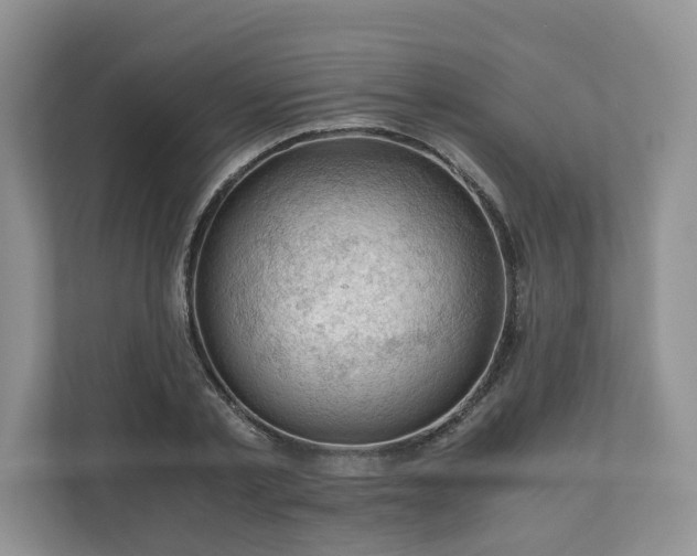 X0000111030789200907021537