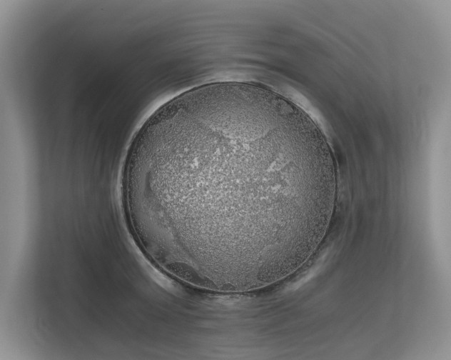 X0000111030803200907021537