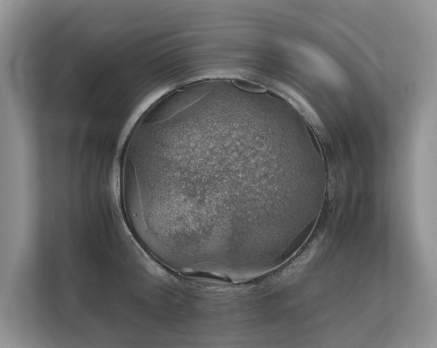 X0000111030804200907021537