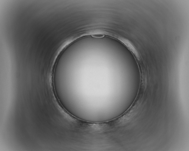 X0000111030805200907021537