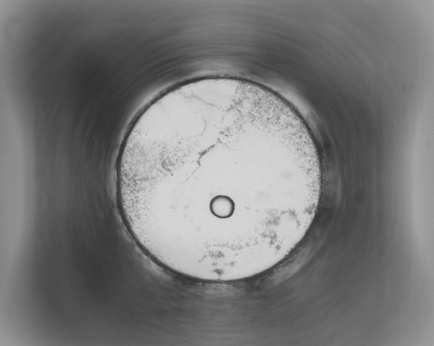 X0000111030807200907021537