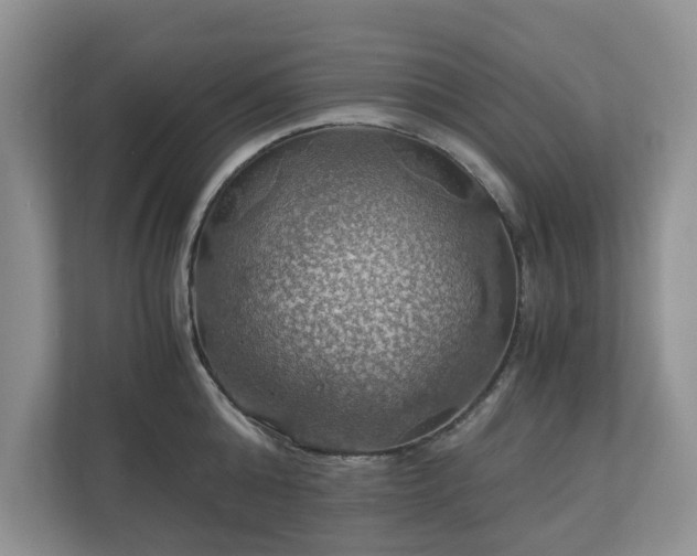 X0000111030808200907021537