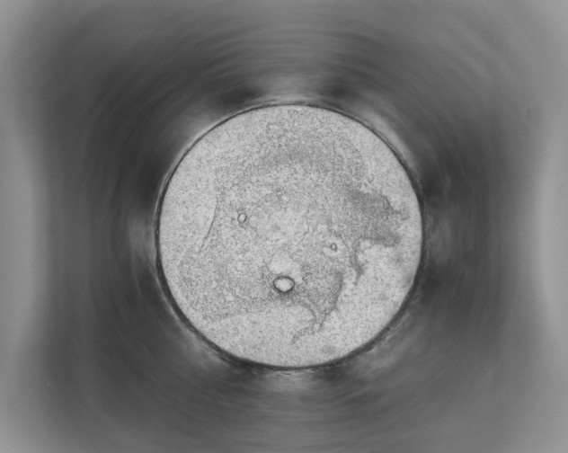X0000111030810200907021537