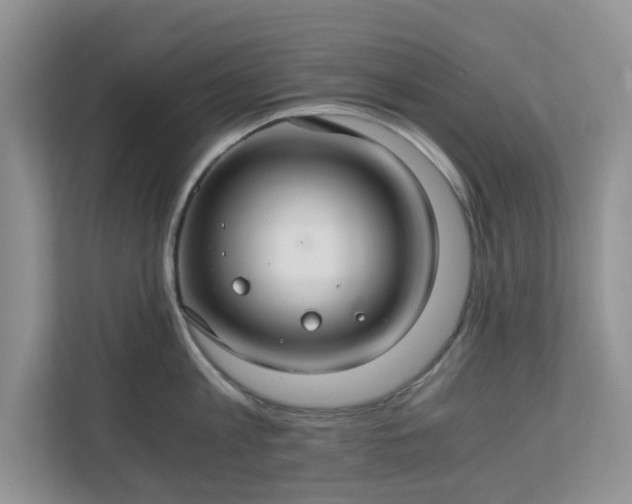 X0000111030813200907021537