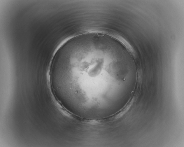 X0000111030814200907021537