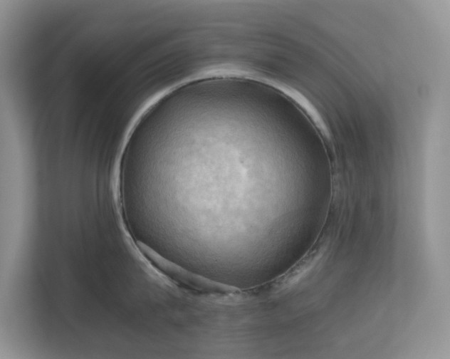 X0000111030815200907021537
