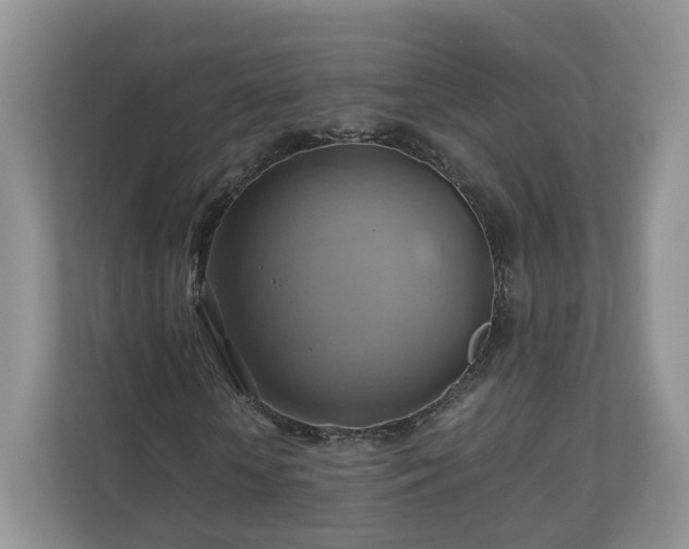 X0000111030818200907021536