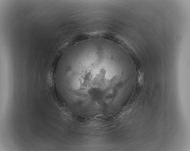X0000111030819200907021536