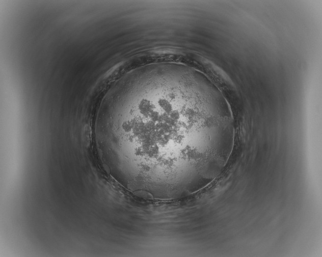 X0000111030821200907021536
