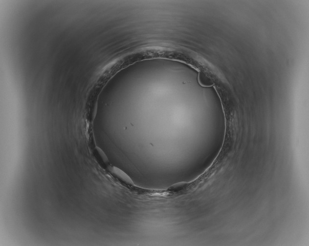 X0000111030822200907021536