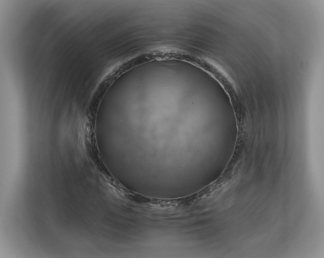 X0000111030823200907021536