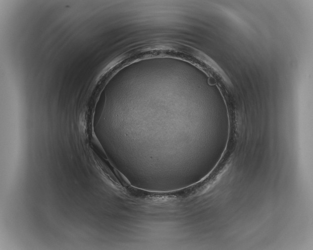X0000111030826200907021536