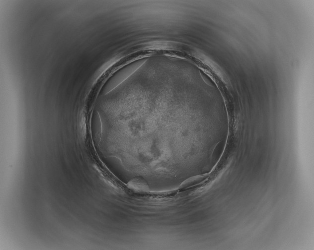 X0000111030829200907021536