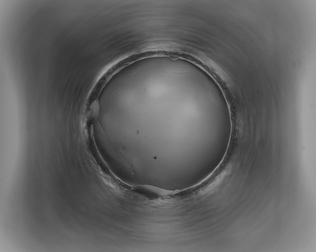 X0000111030830200907021536
