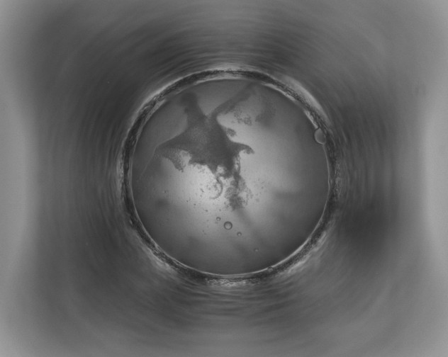 X0000111030831200907021536
