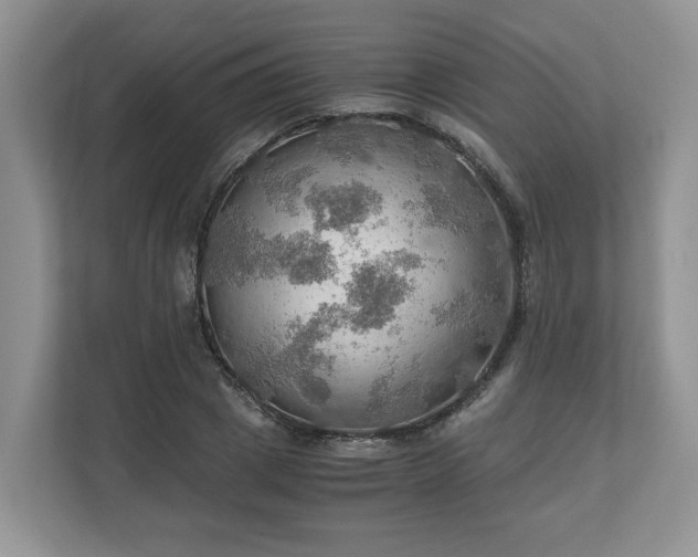 X0000111030833200907021536