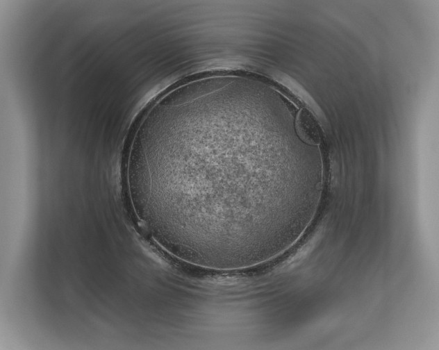X0000111030834200907021536
